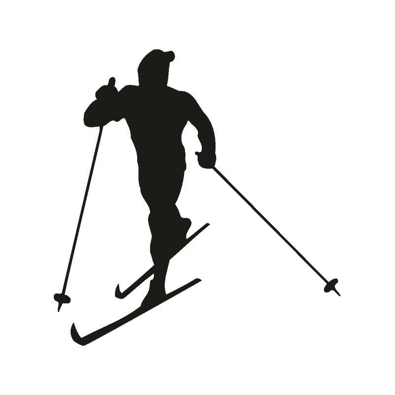 Salomon || Rossignol || Fischer Verkäufe